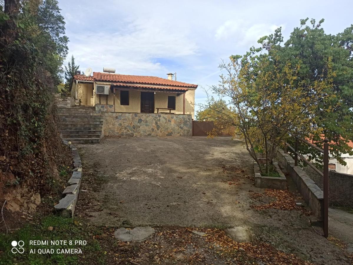 Forestrock Studio For Sale Too Sparta Luaran gambar